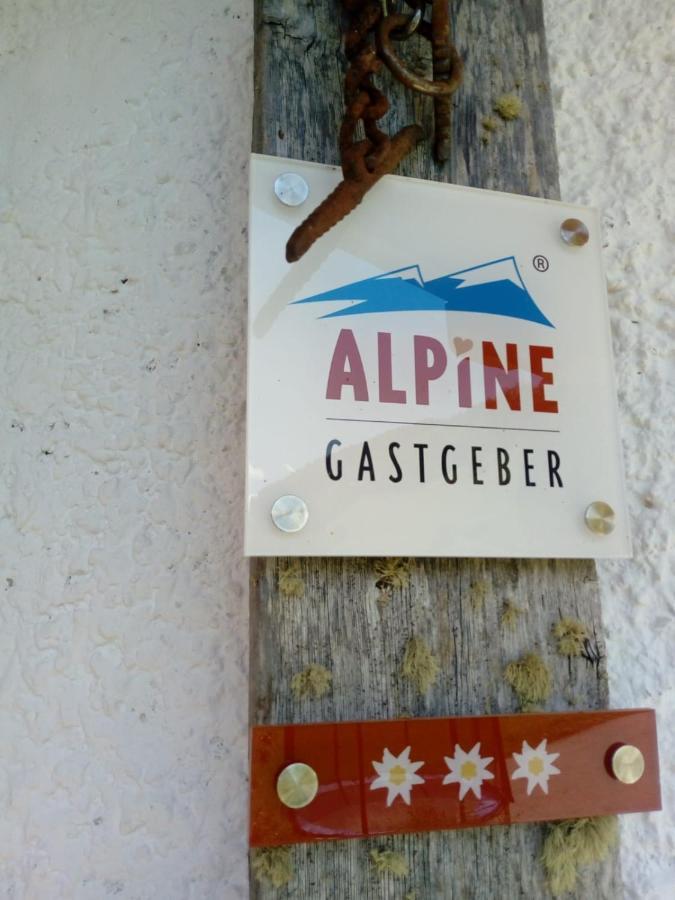 Bed & Breakfast Dolomiti Bey Haus Pinter Assling Eksteriør billede