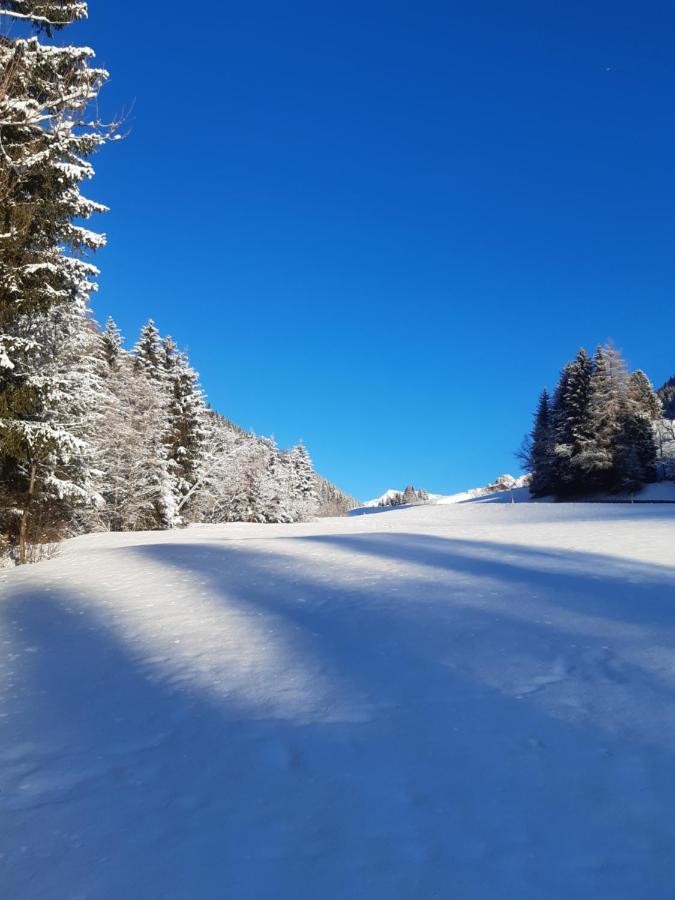 Bed & Breakfast Dolomiti Bey Haus Pinter Assling Eksteriør billede