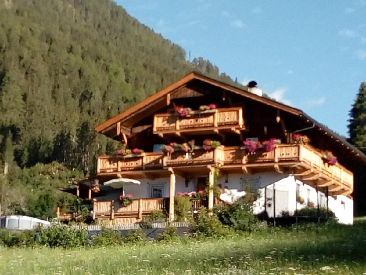 Bed & Breakfast Dolomiti Bey Haus Pinter Assling Eksteriør billede