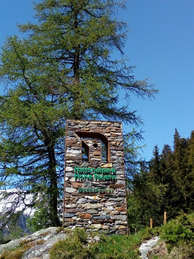 Bed & Breakfast Dolomiti Bey Haus Pinter Assling Eksteriør billede