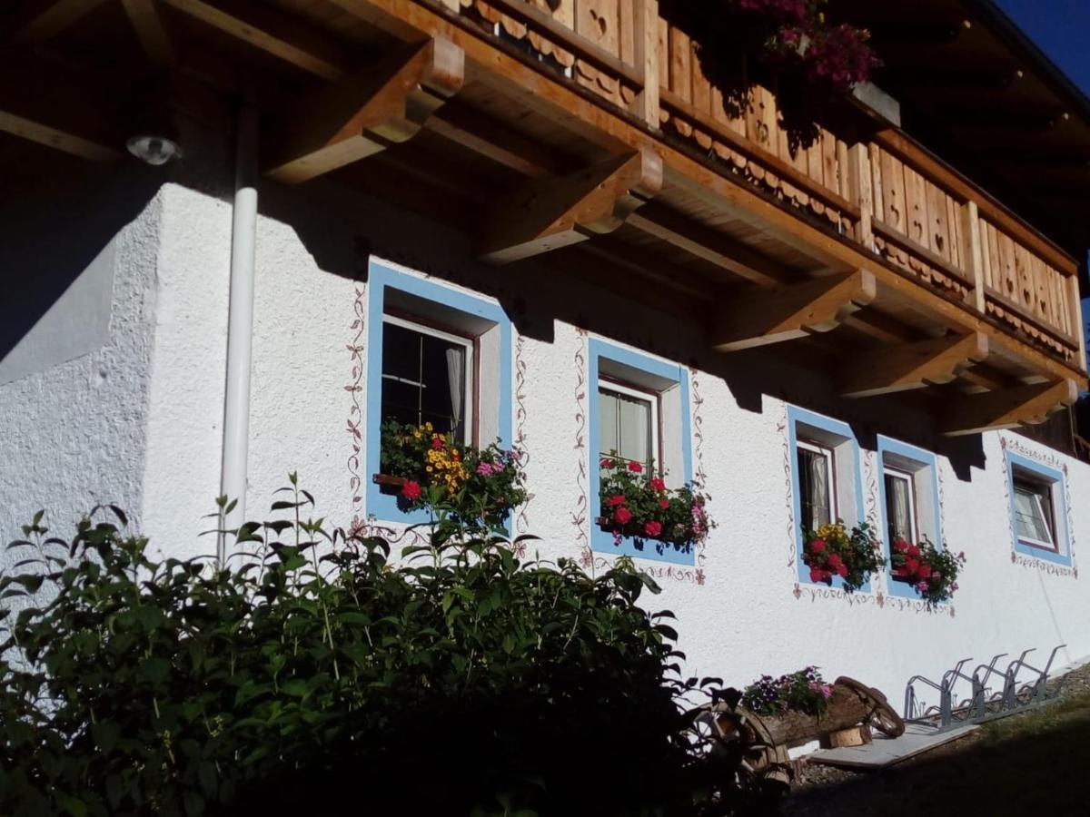 Bed & Breakfast Dolomiti Bey Haus Pinter Assling Eksteriør billede