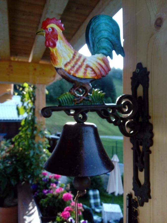 Bed & Breakfast Dolomiti Bey Haus Pinter Assling Eksteriør billede