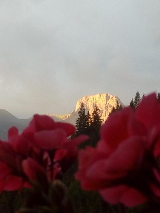 Bed & Breakfast Dolomiti Bey Haus Pinter Assling Eksteriør billede