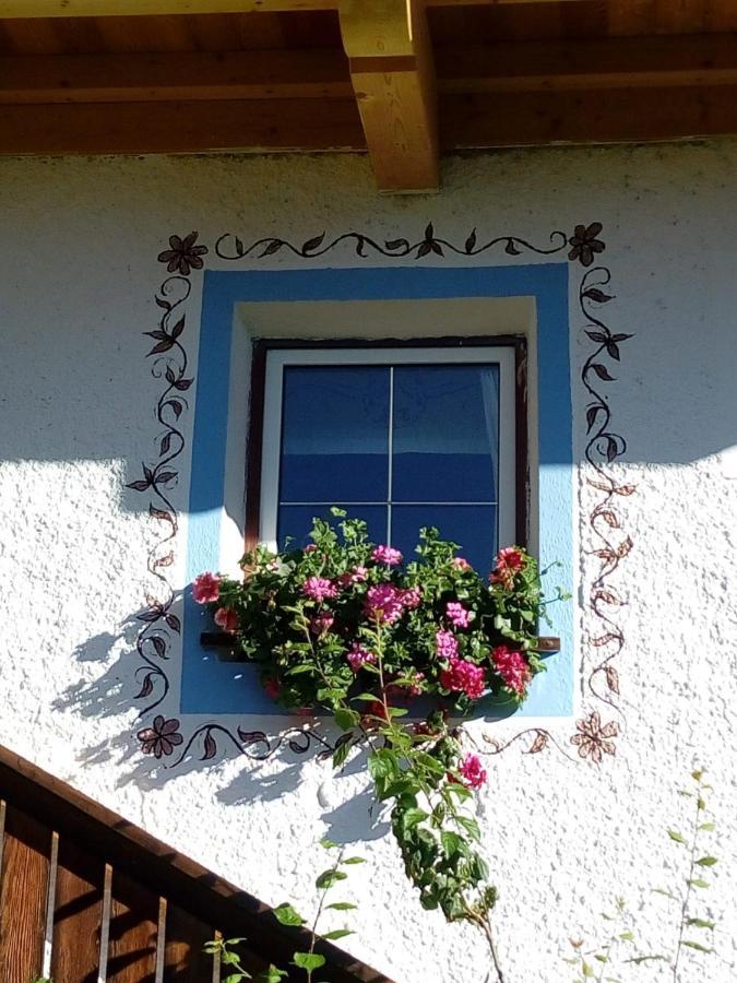 Bed & Breakfast Dolomiti Bey Haus Pinter Assling Eksteriør billede
