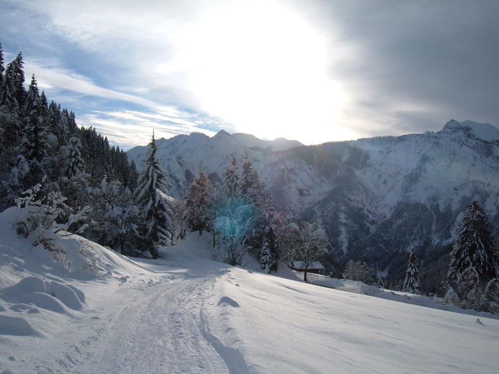 Bed & Breakfast Dolomiti Bey Haus Pinter Assling Eksteriør billede