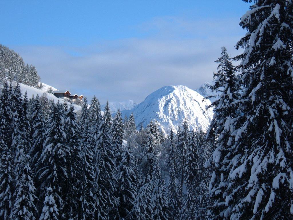 Bed & Breakfast Dolomiti Bey Haus Pinter Assling Eksteriør billede