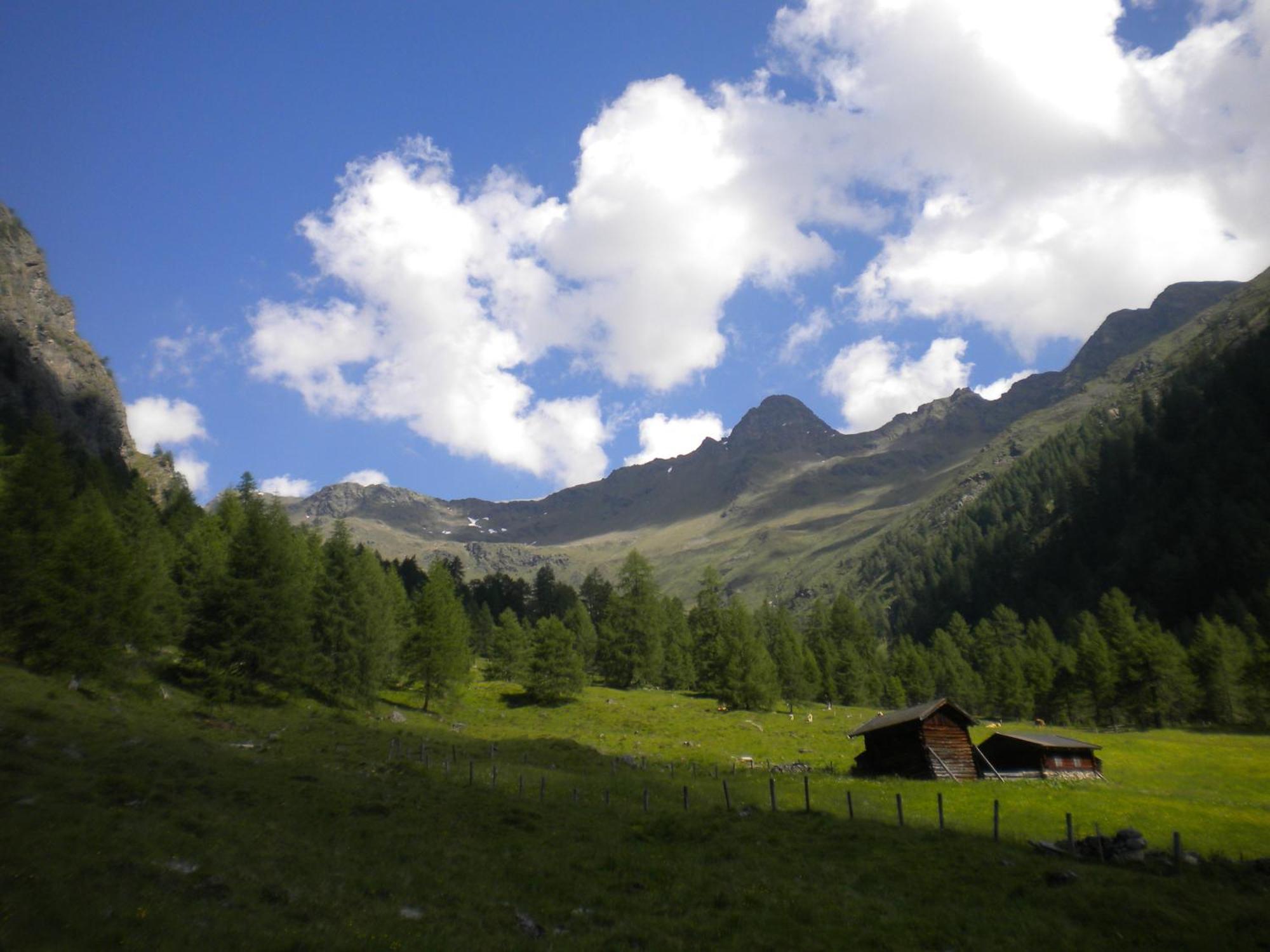 Bed & Breakfast Dolomiti Bey Haus Pinter Assling Eksteriør billede