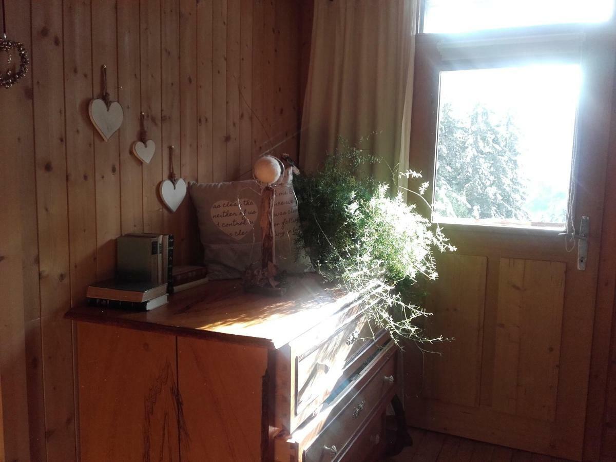 Bed & Breakfast Dolomiti Bey Haus Pinter Assling Eksteriør billede