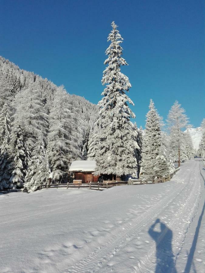 Bed & Breakfast Dolomiti Bey Haus Pinter Assling Eksteriør billede