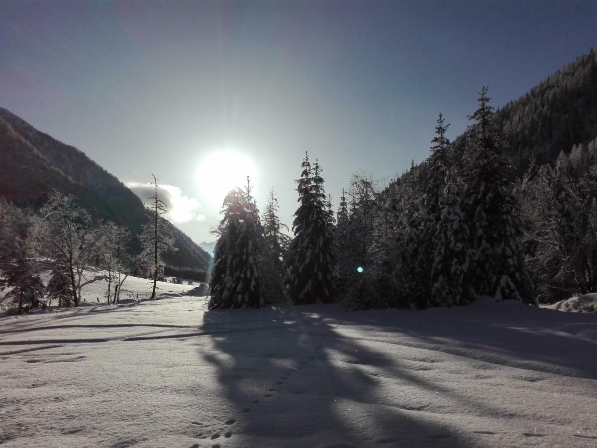 Bed & Breakfast Dolomiti Bey Haus Pinter Assling Eksteriør billede