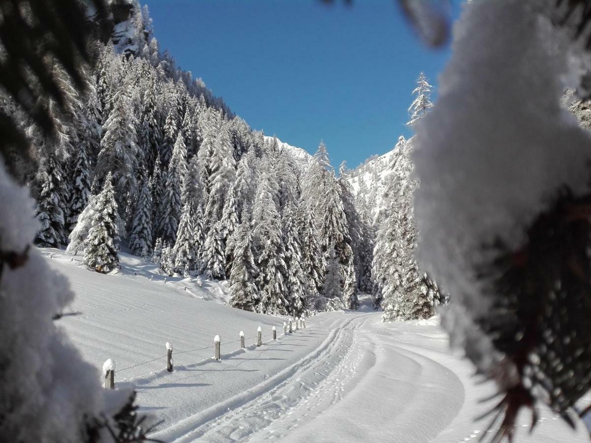 Bed & Breakfast Dolomiti Bey Haus Pinter Assling Eksteriør billede
